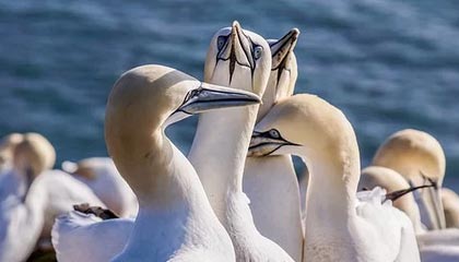 吐鲁番最新的高价医保卡惠民保险代扣怎么取消掉了方法分享(吐鲁番惠民医保怎么报销教程)