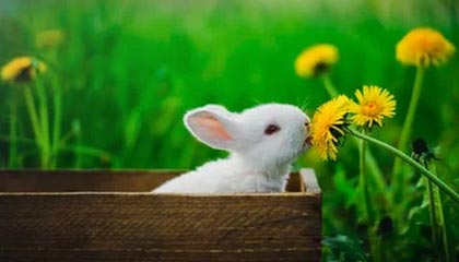 吐鲁番最新的高价医保卡惠民保险代扣怎么取消掉了方法分享(吐鲁番惠民医保怎么报销教程)